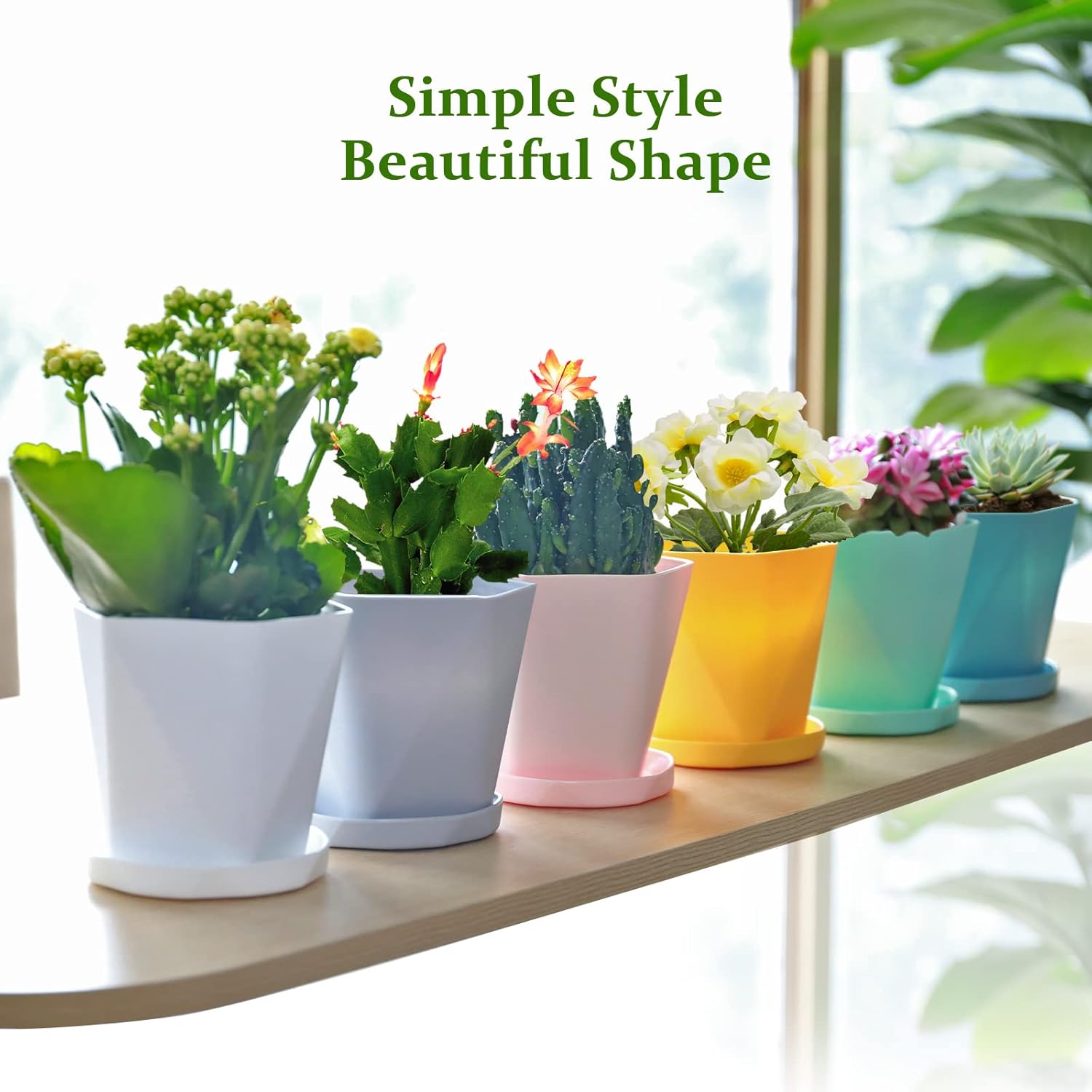 ISIVBPEP Flower Pots - 6 Pack 6.5 Inch Plastic Plant Pots with Drainage Holes and Saucers - Planters for Indoor Plants - Garden Pots with Gardening Tools : Patio, Lawn & Garden