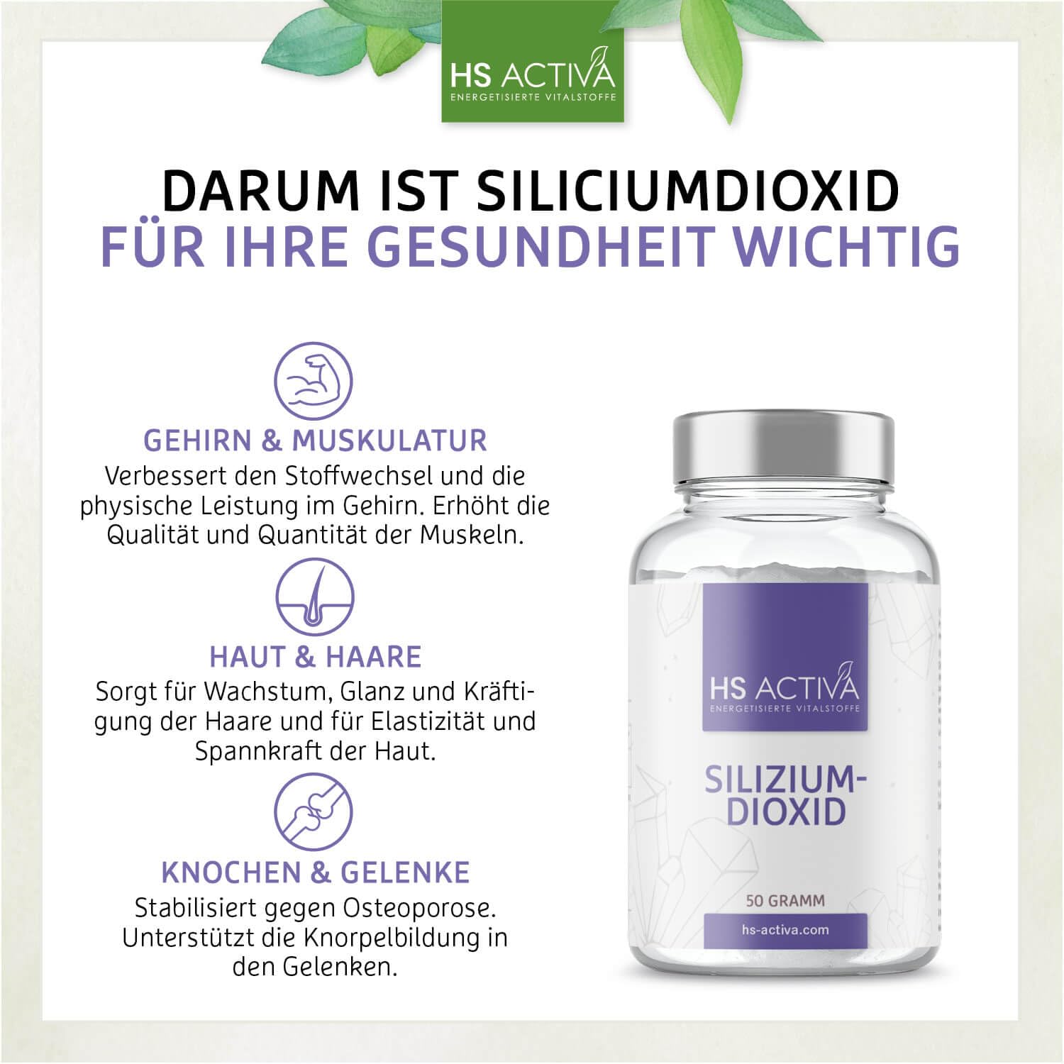 HS Activa Silizium hochdosiert 50 g, Kieselsäure für Haare, Nägel & Haut | Siliciumdioxid, für Knochen & Bindegewebe, Kieselerde, vegan, Made in Germany
