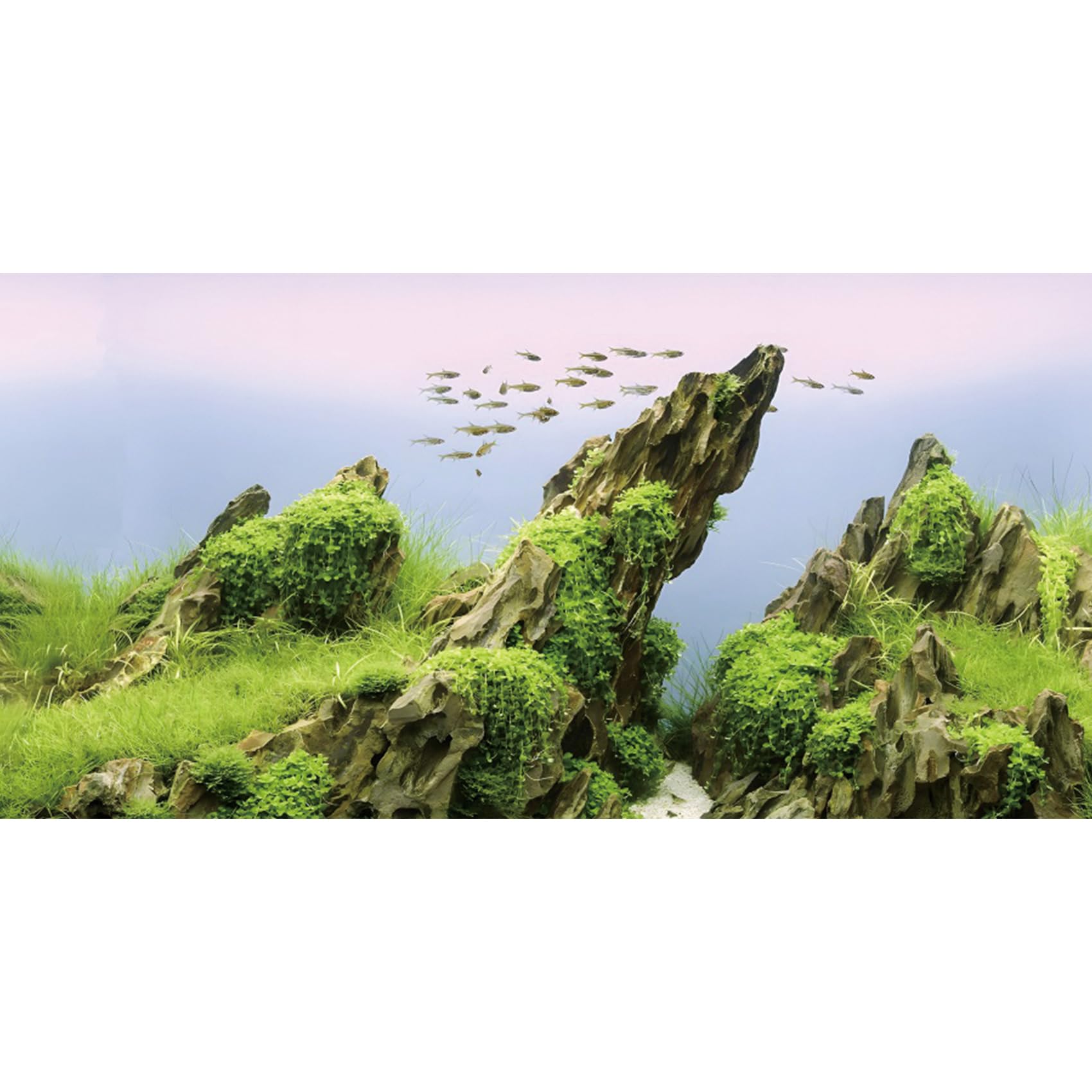 MIRRORANG 76x30cm Stone Aquarium Background Seaweed Grass River Bed & Lake Aquarium Vinyl Background Stone Fish Tank Background โ image 1