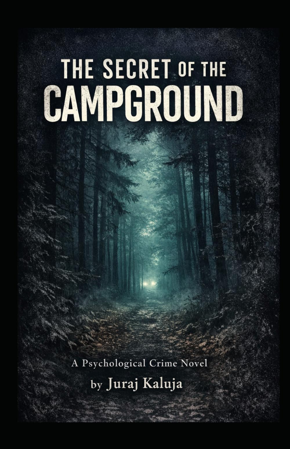 THE SECRET OF THE CAMPGROUND: A Psychological Crime Novel