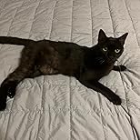 Customer Image, click to open customer review