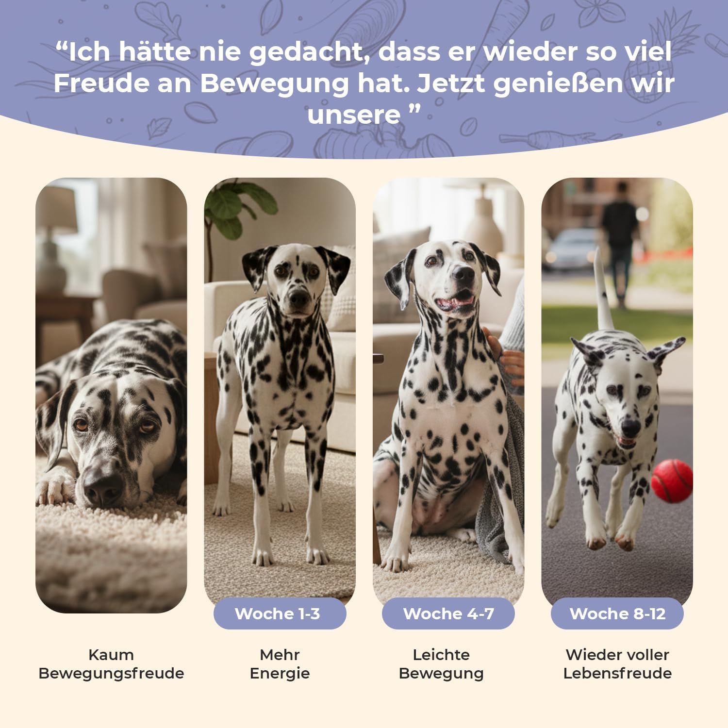 Gelenktabletten für Hunde – 120 Tabletten – 13-Fach Wirkstoffkomplex mit Grünlippmuschel & MSM – entwickelt mit Tierärzten, laborgeprüft, zum Patent angemeldet, Made in Germany – Einführungspreis