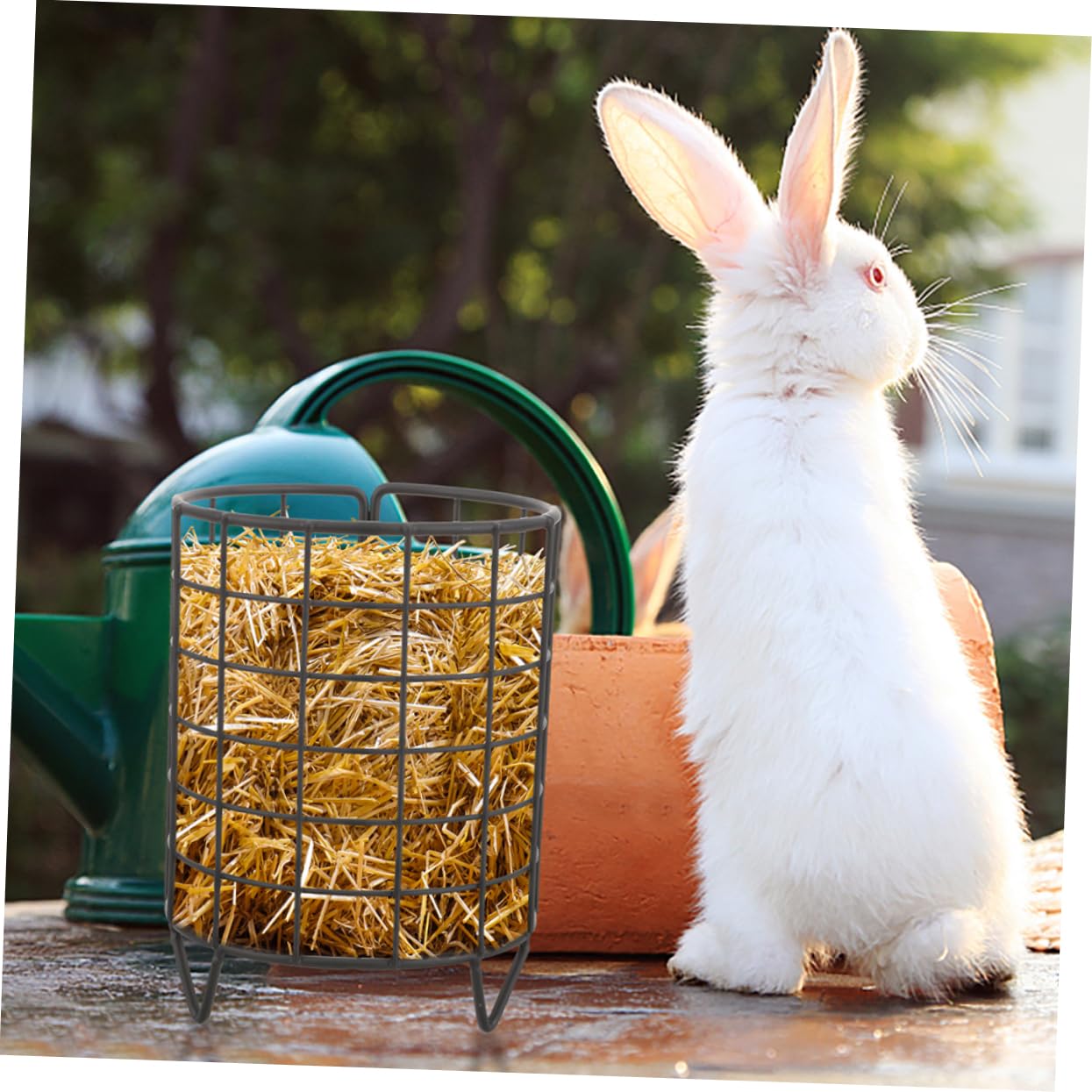 COLLBATH 2 Stück Metall Heuraufe für Meerschweinchen und Kaninchen Eisen Langsam Fressend für Käfig Hält Sauber