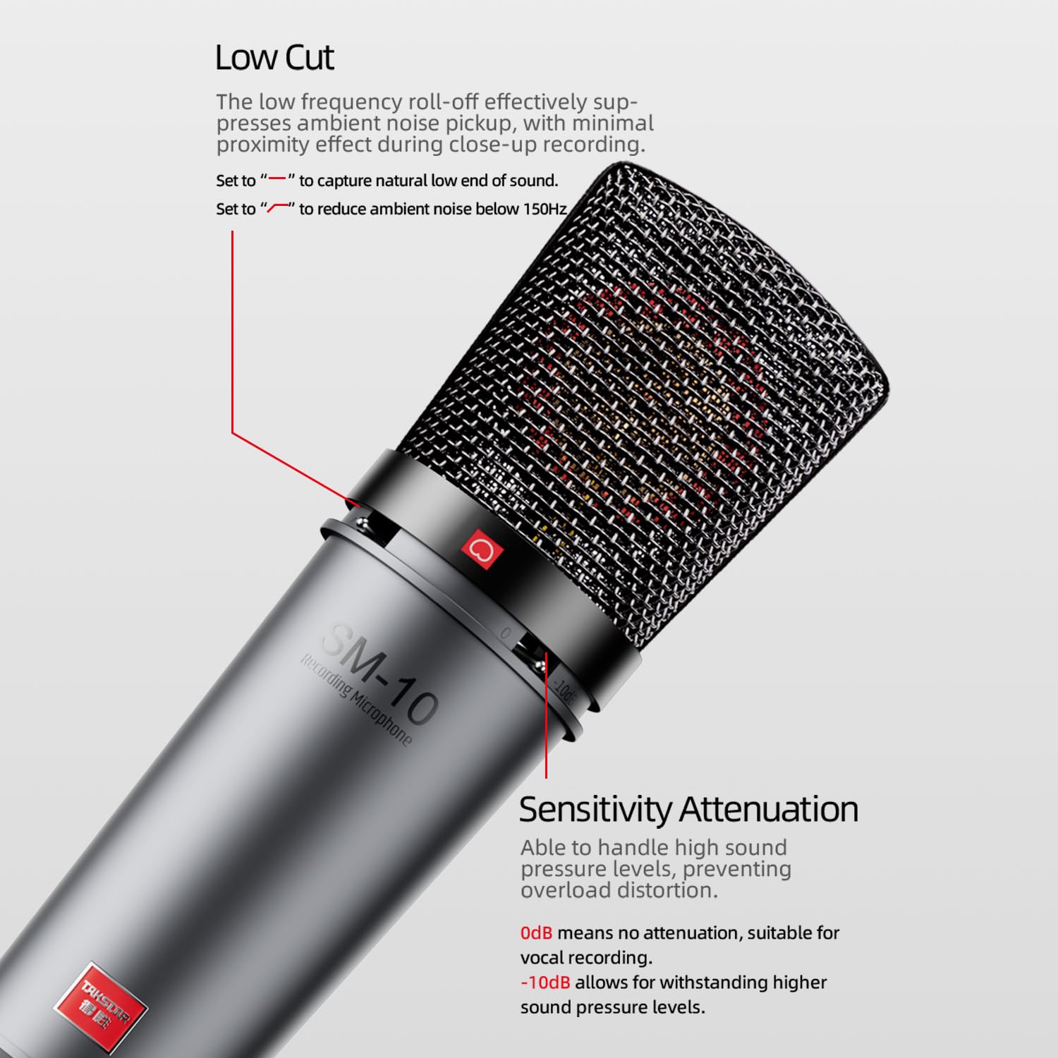 Amazon.com: TAKSTAR XLR Cardioid Condenser Microphone, SM-10 34mm