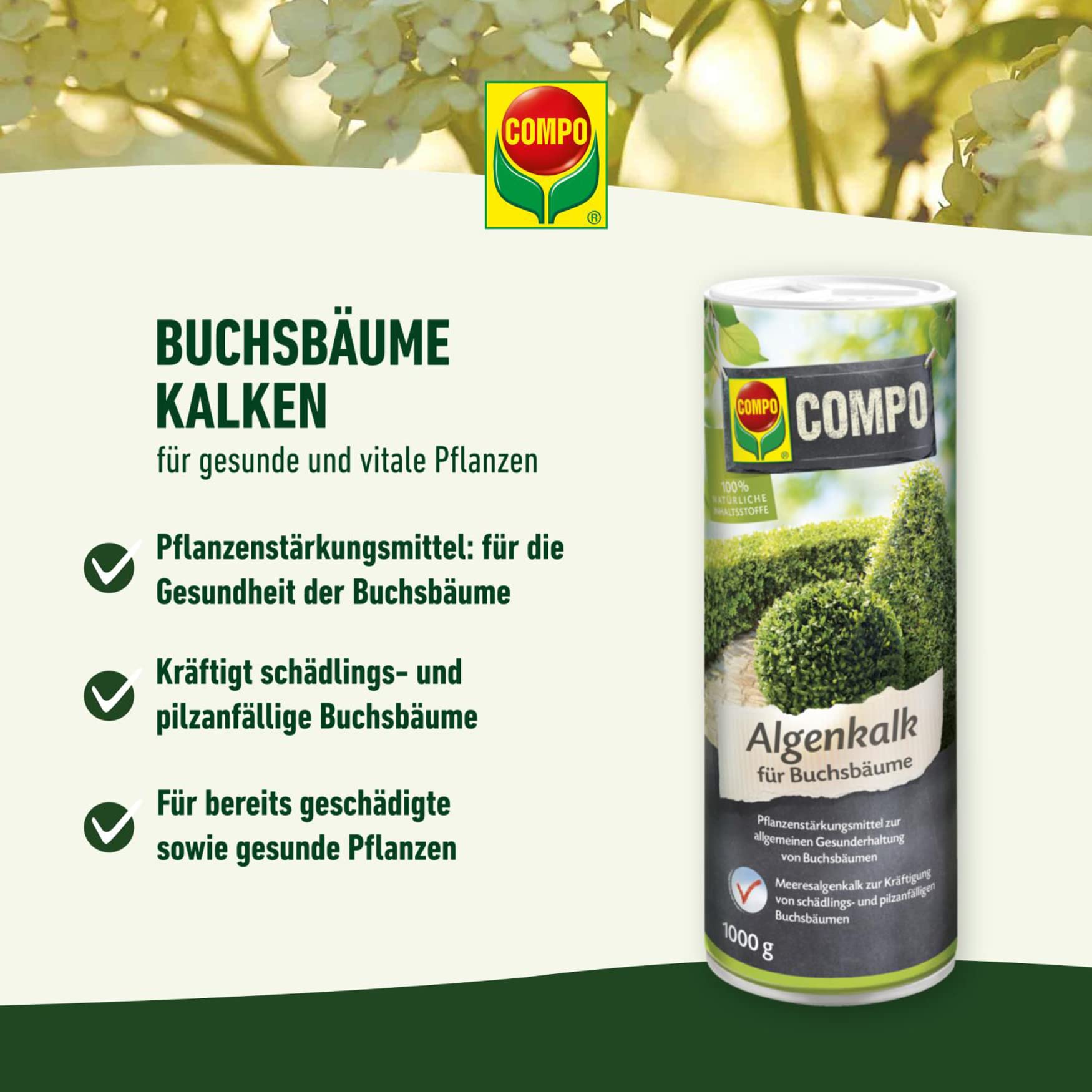 Compo Algenkalk Für Buchsbäume – 2 Kg, Pflanzenstärkungsmittel Zur Gesunderhaltung, Gegen Schädlinge & Pilze