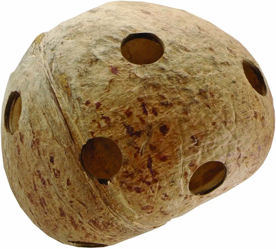 Living World Narguilés Nature's Treasure médio e grande, coco