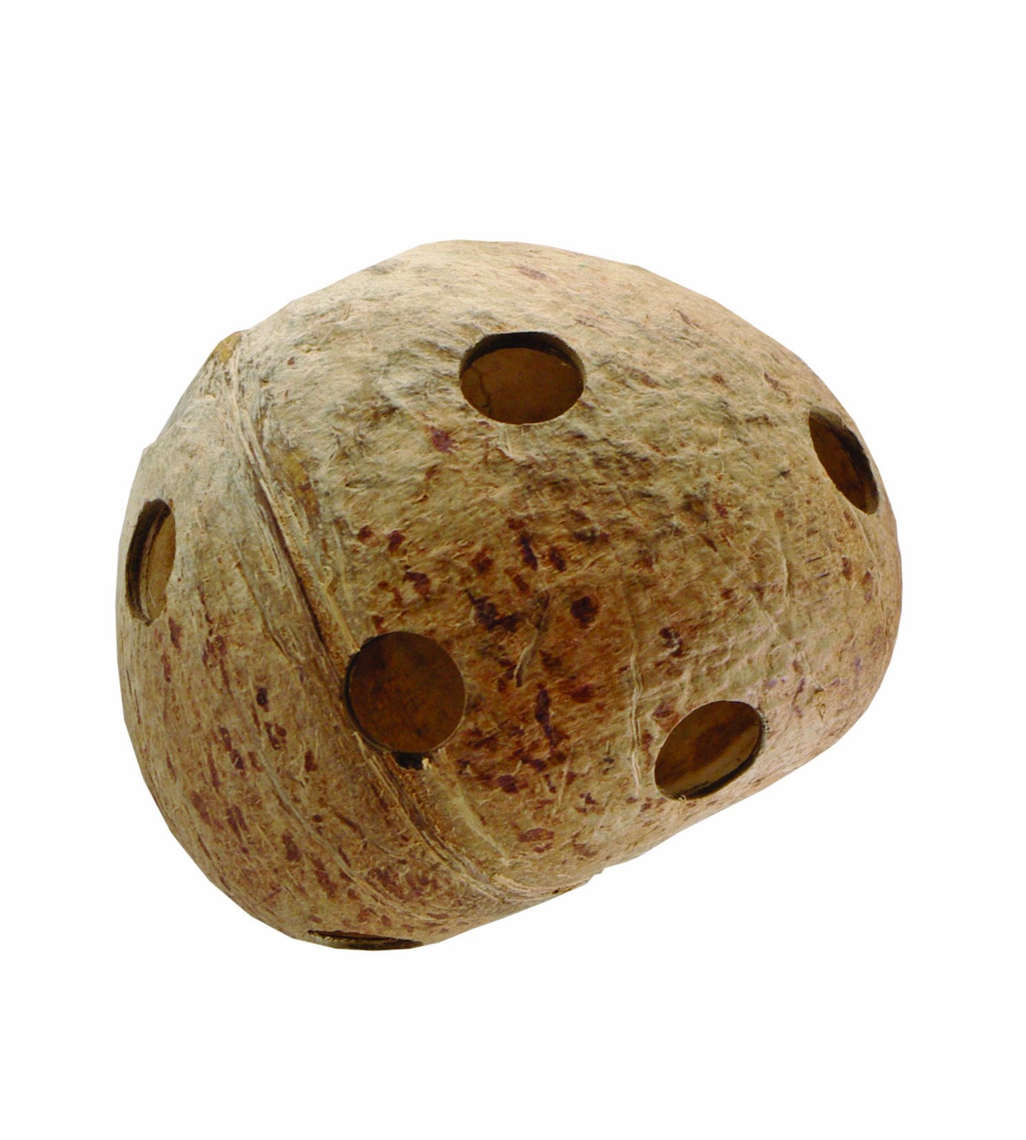 Hameçons de noix de coco Living World pour animer la cage des grands perroquets