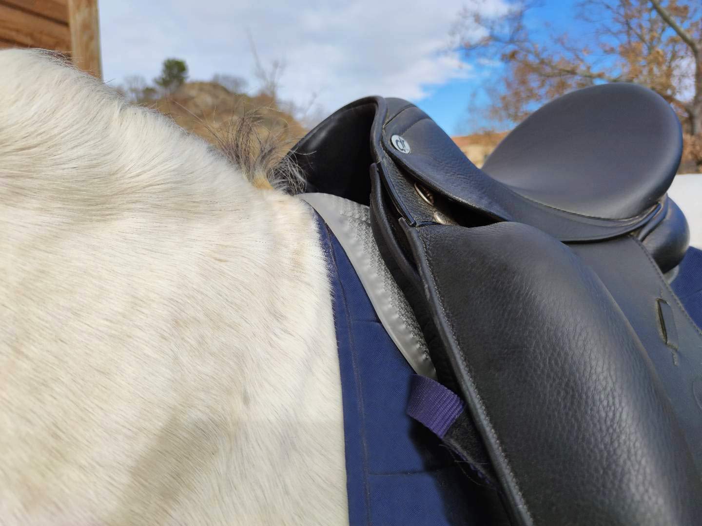 Tapis de selle en gel léger pour le saut d'obstacles et l'équitation