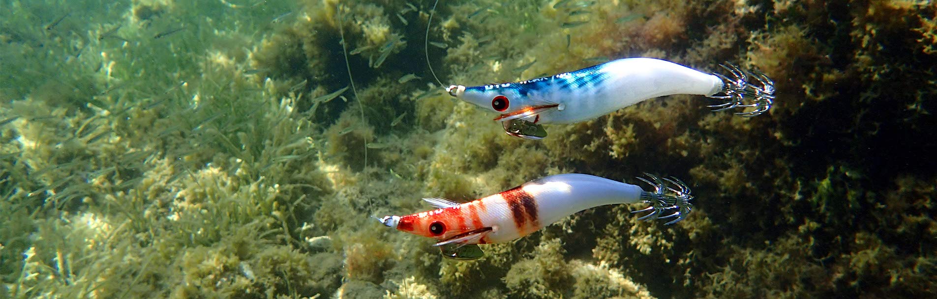 Esca Totanara DTD Real Fish Oita 3.0 - 10cm 15g - Colore Smelt - Effetto Sonoro 4-5 Secondi - Foto 3