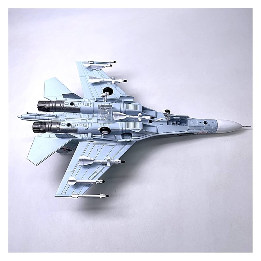Amazon.co.jp: 1:100 スケール Su 27 フランカー ファイター