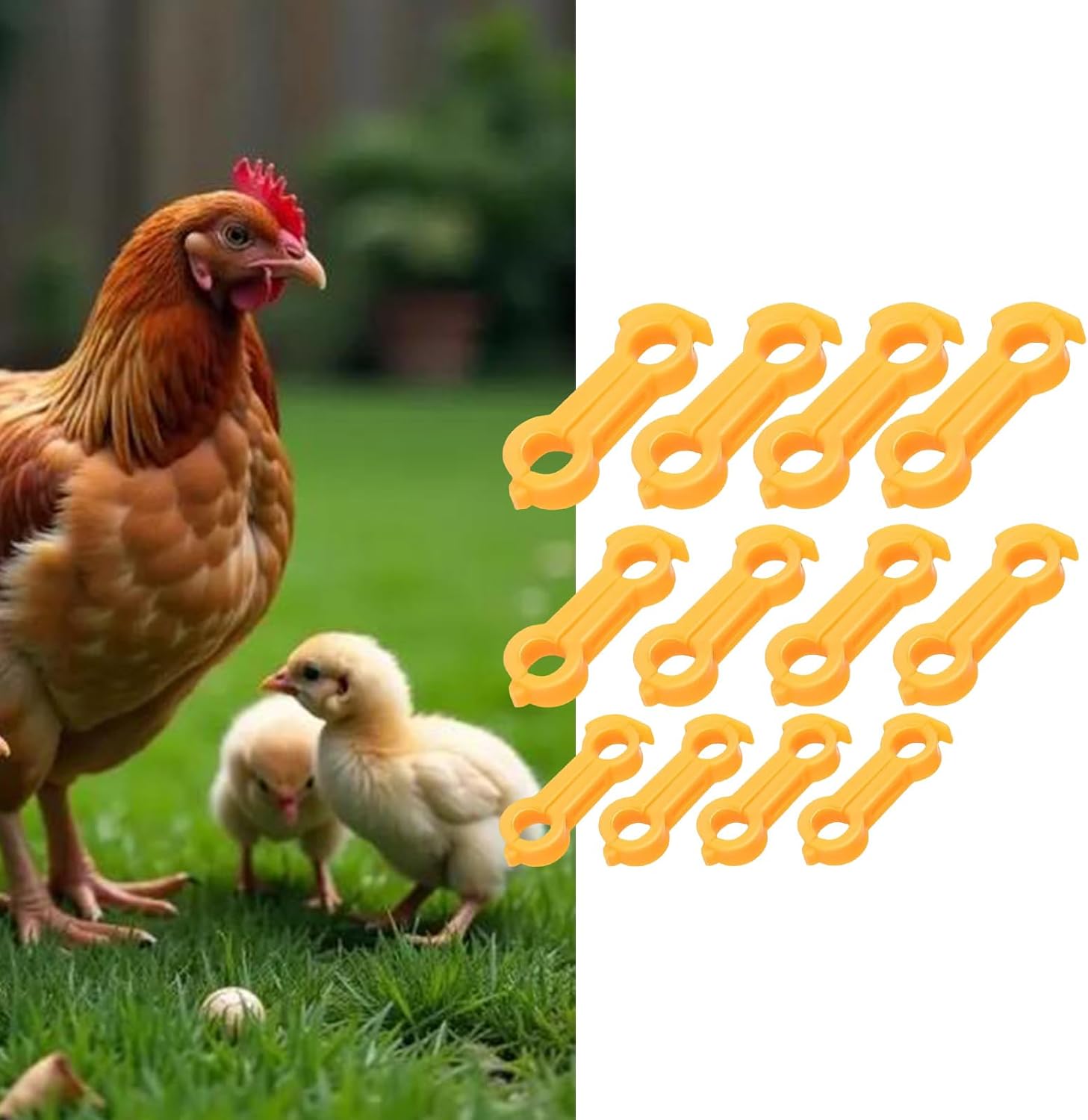 Multiple Size Chicken Leg Stabilizers for Chickens and Small Birds Bird Cage Accessories Leg Fixer