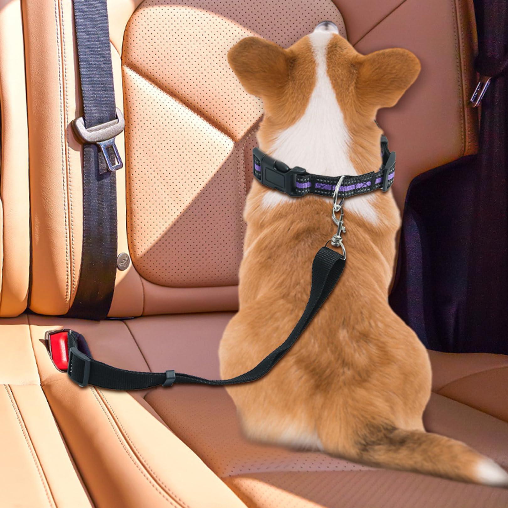 2 Pièces Ceinture Chien Voiture,Harnais Laisse de Sécurité Chat Securite Chiens Accessoires Attache Rallonge Transport en Accessoire Animaux Attacher,pour Chats Les Laisee et Chiot Compagnie Laisses