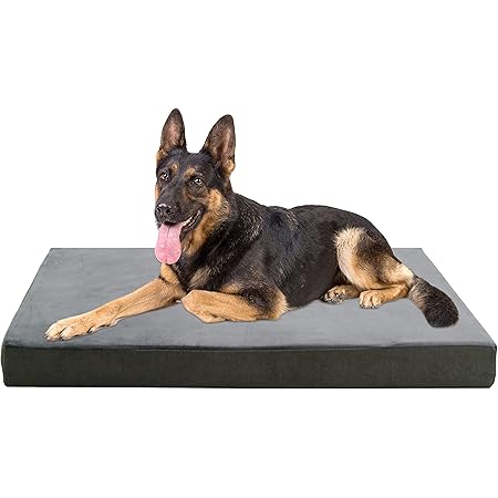 bone shaped memory foam dog mat