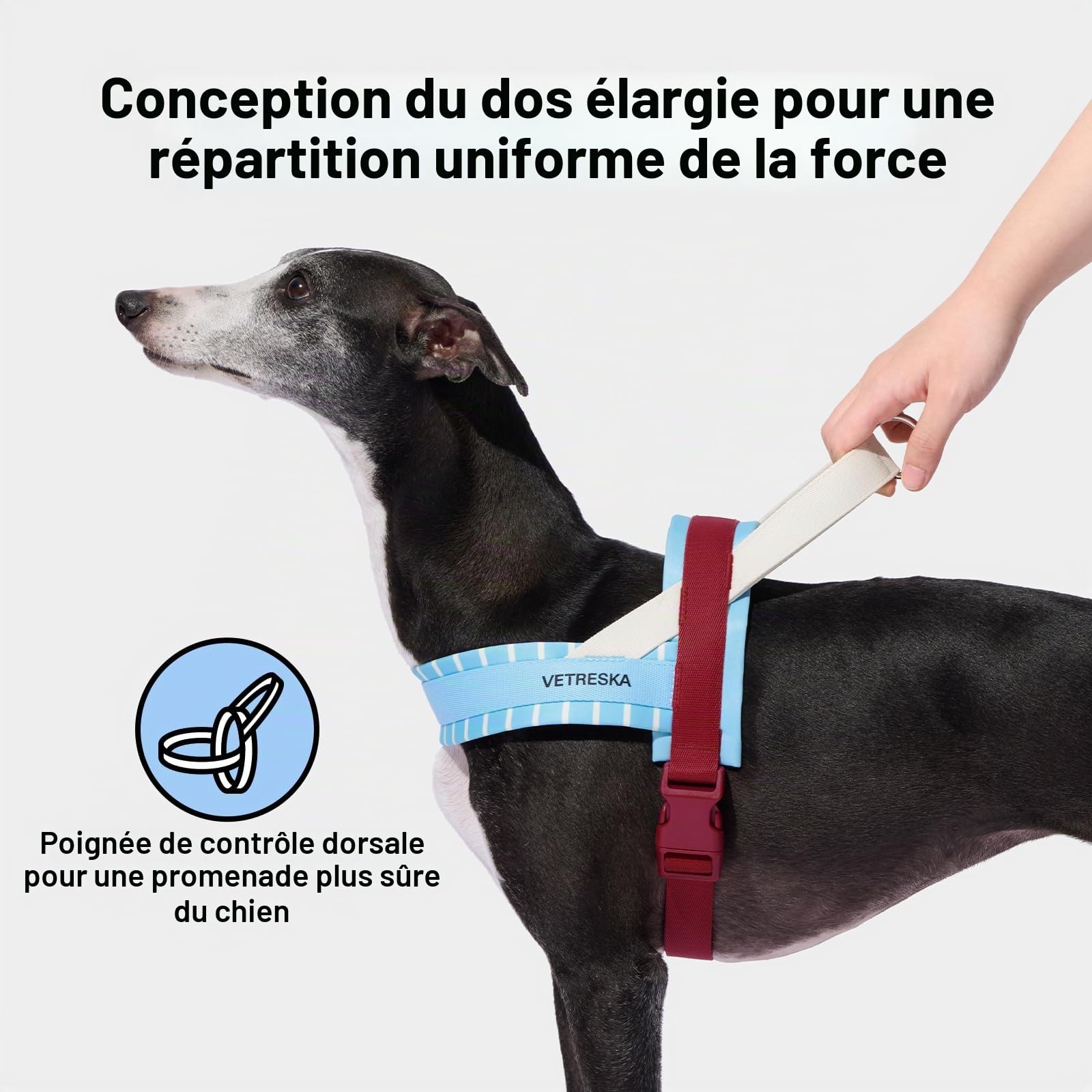 VETRESKA Harnais-Veste pour Chien Ajustable Anti-Étouffement, Harnais Contrôlable et à Marche Facile Harnais pour Chien avec Laisse Anti-Enchevêtrement Résistante, Misty Melot, XS