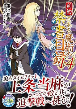 新約 とある魔術の禁書目録 箔押しサイン入り複製原画 御坂美琴 鎌池和