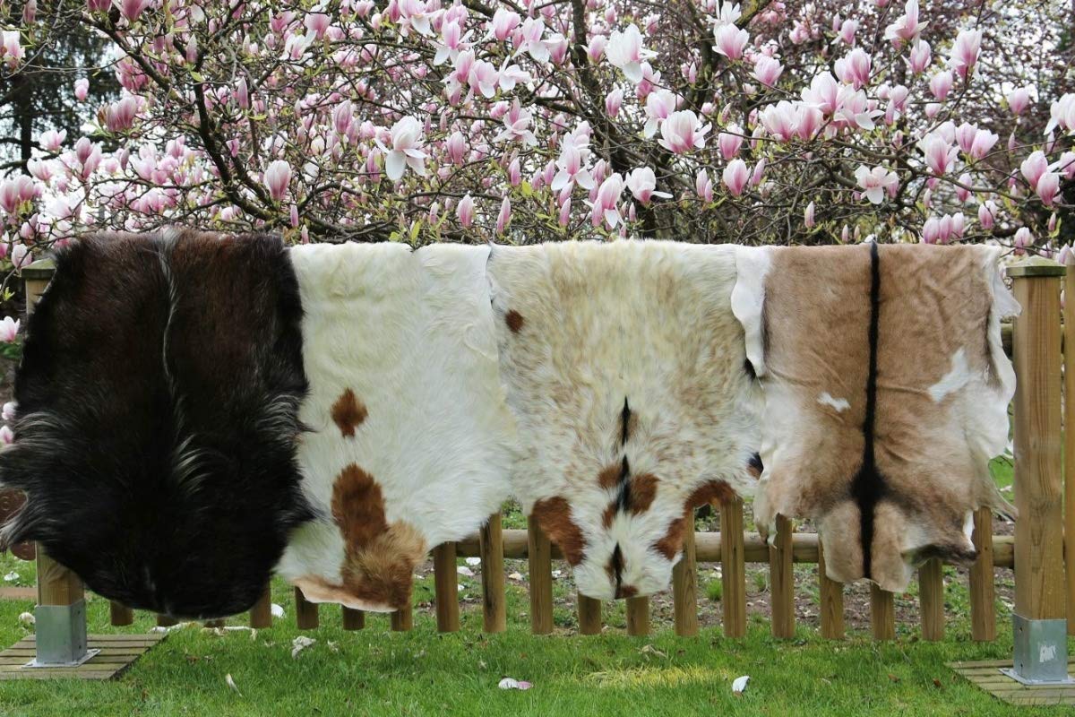 Hollert Echtes Ziegenfell Teppich Naturfell Dekofell Kamindeko Wanddeko Läufer DIY Kleidung Größe 90-100
