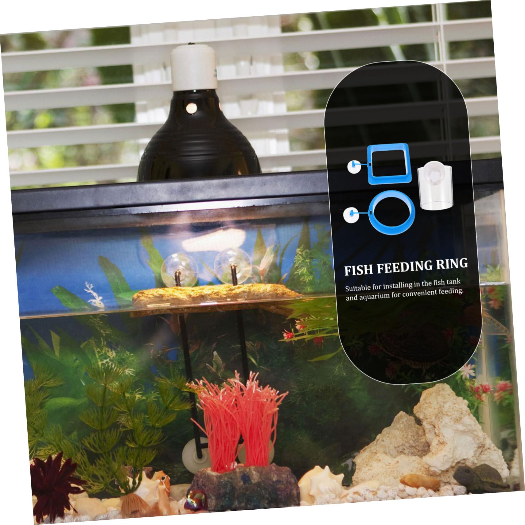 Yardwe 12stücke Teiliges Schwimmender Futterringe Für Aquarien Fischfutterspender Für Süß Und Salzwasser Installieren Mit Stabiler Saugnapfhalterung Für Tropische Fische Und