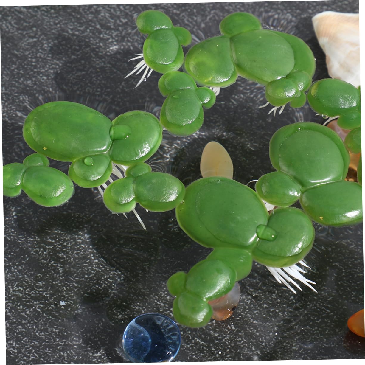 Toddmomy 5ensembles Plantes Flottantes Simulées pour Aquarium Décoration Plastique De Faux Canards pour Aquatique Naturel