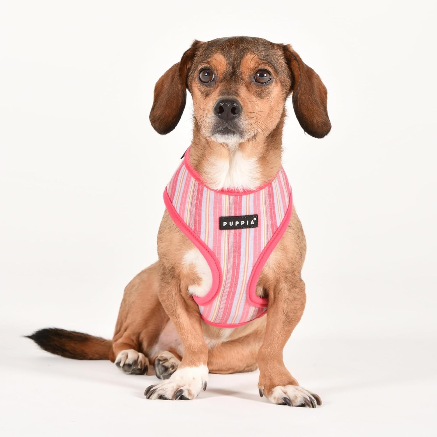 Puppia Theros Dog Harness A (Over-The-Head) Fashionable Striped Pattern Spring Summer Harness for Small and Medium Dogs, Pink, Medium