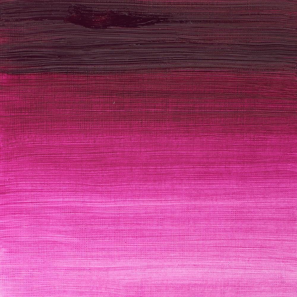Winsor & Newton Winton Oil Colour Paint - Magenta - 37ml Tube