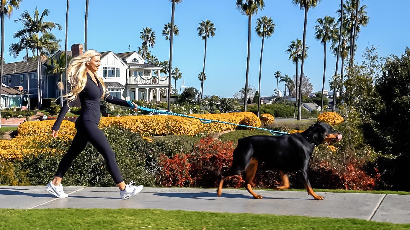 Shed Defender Shock Absorbing Bungee Leash - Three Padded Traffic Handles, Designed in The USA, Stretches 4-7ft, Elastic Dog Leash, Reflective Stitching, Large Dog & Small Breed, Heavy Duty, Black - Image 8