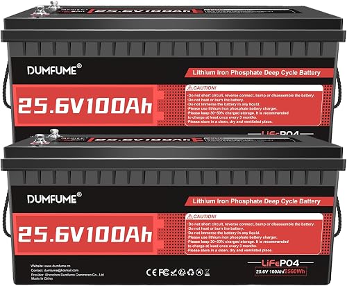Pacco da 2 Dumfume Batteria Litio LiFePO4 24V 100Ah