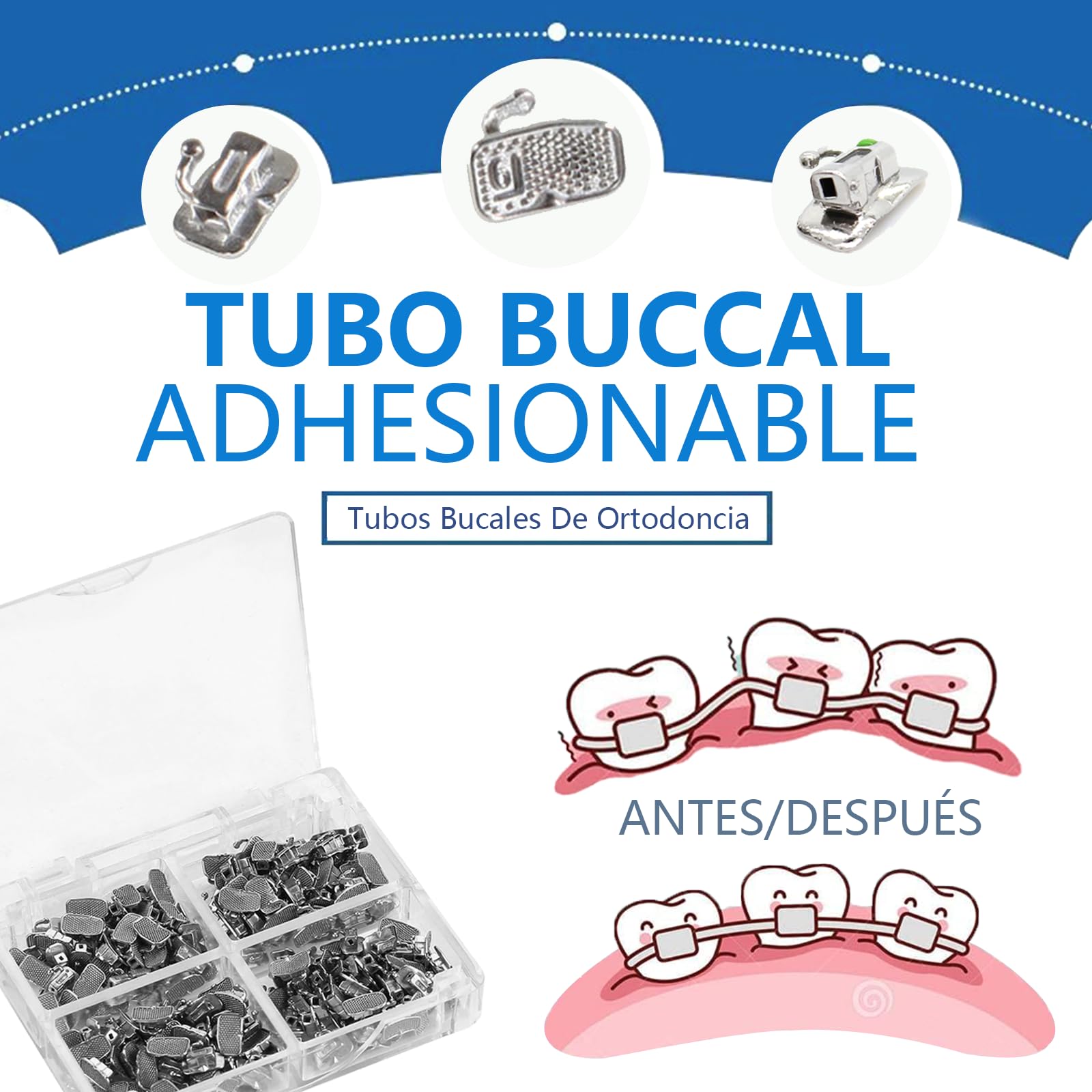 Ortodoncia Dental 1er Molar con Bandas Tubo Bucal Roth 0.022 16#-35#/28#-44 Ortodoncia Dental 1er Molar con Bandas Tubo Bucal Roth 0.022 16#-35#/28#-44