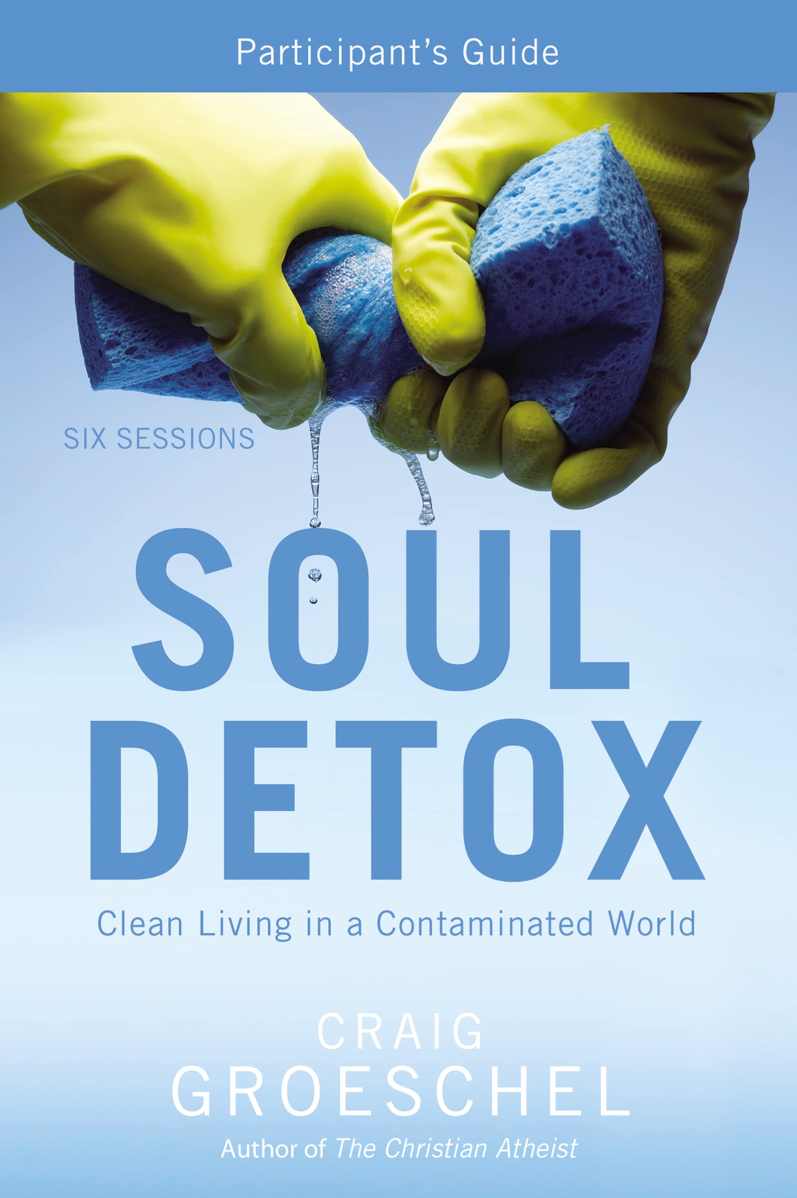 Soul Detox Part Guide PB,GROESCHEL CRAIG