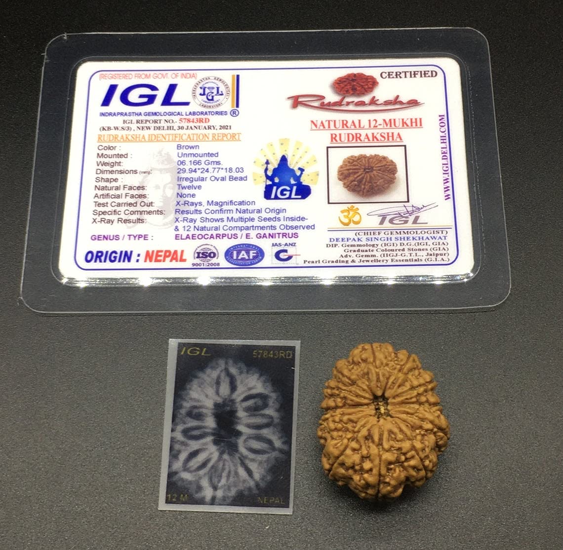 Perles Rudraksha Mukhi certifiées IGL contre le stress pour méditation stable