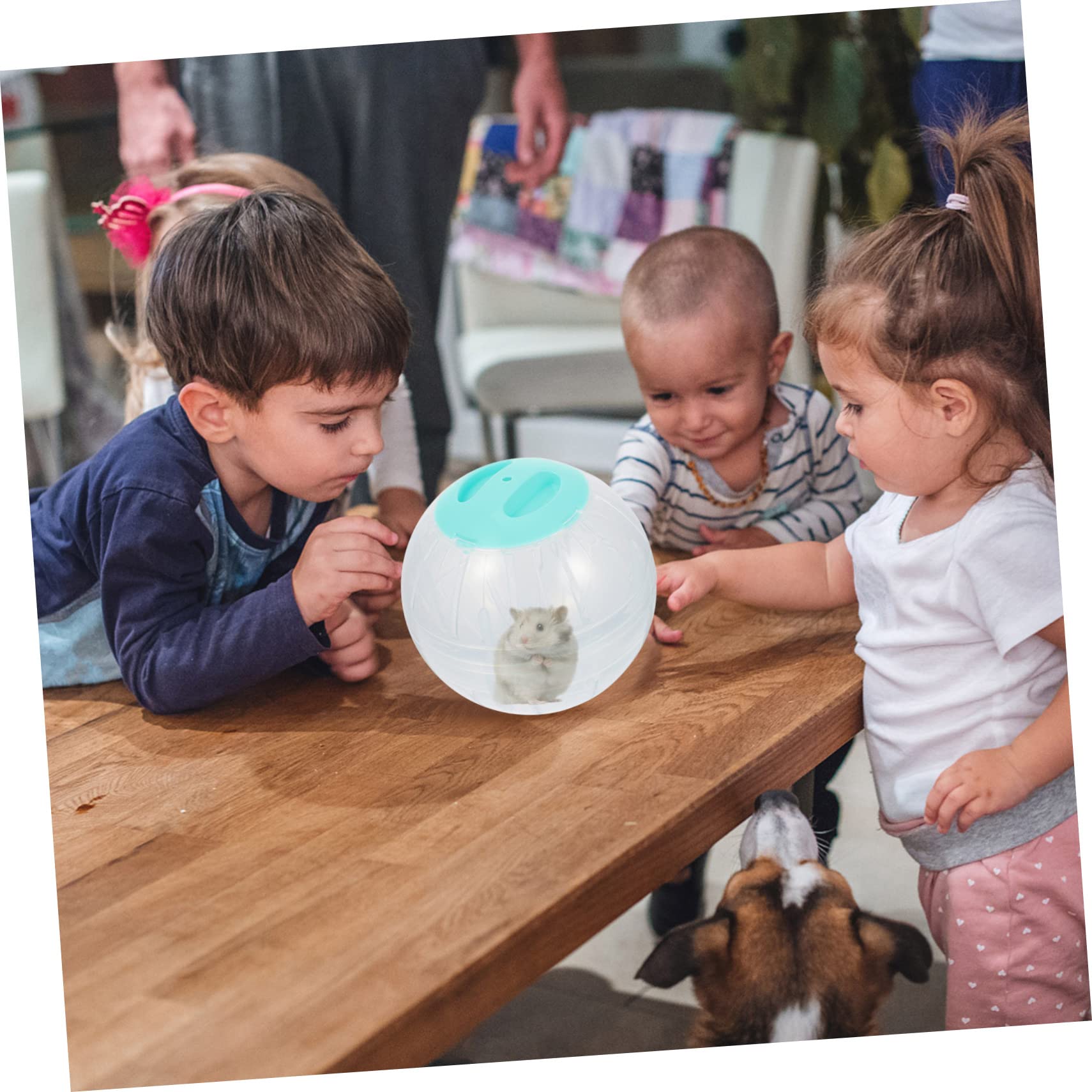 4stücke Hamster Laufball Für Kleine Tiere Transparente Übungsbälle Für Hamster Zwerghamster Mäuse Und Igel Von Bewegung Und Fitness Im Käfig