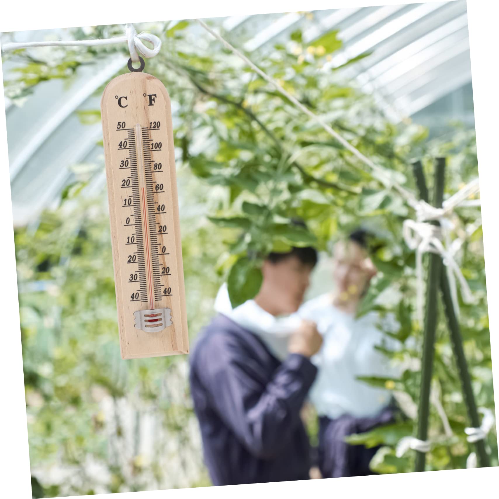 Termometro per Interni ed Esterni in Vetro Supporto a Parete, Misuratore di Temperatura Preciso in Legno Naturale, Set da 3 Pezzi per Casa, Giardino e Cameretta Ragazzo Ragazza