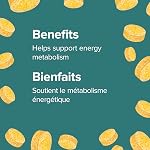 Webber Naturals Vitamine B2 Riboflavine 100 mg, 120 Comprimés | Soutient Le Métabolisme Énergétique, Végétarien