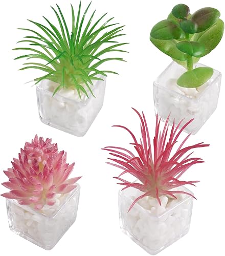 rhinocats 4Pcs Fridge Magnets,Cute Decorative Locker Magnet,Strong Magnetic 3D Potted Plant Decor for Home Office Whiteboard Gift