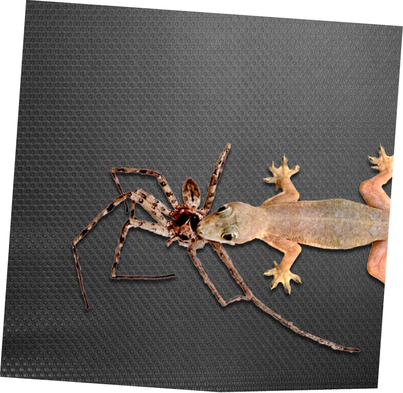 HANABASS Reptile Carpet Bedding Liner Mat for Bearded Dragons Lizards Snakes Compact Substrate for Terrariums Lightweight Safe Resting Place for Reptile Pets