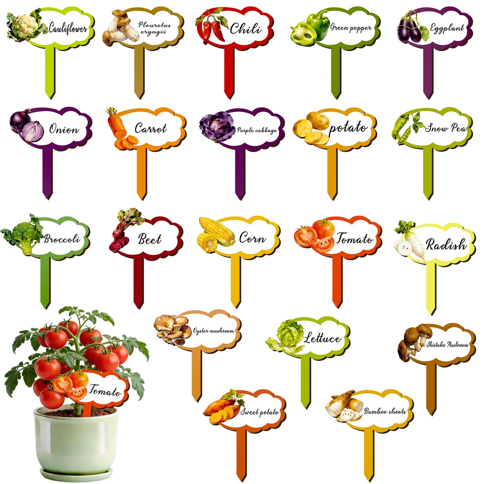 Konsait 20 Pack Wooden Vegetable Plant Labels for Outdoor Garden Waterproof Plant Name Stakes for Seed Labels Vegetable Garden Supplies,20 Styles