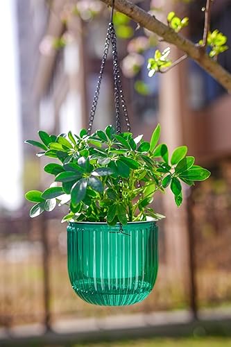 Miniatura 9 de Melphoe 2 Pack Self Watering Hanging Planters Indoor Hanging Flower Pots 65 Inch Outdoor Hanging Plant Pot Basket Plant Hanger with 3Hooks Drainage