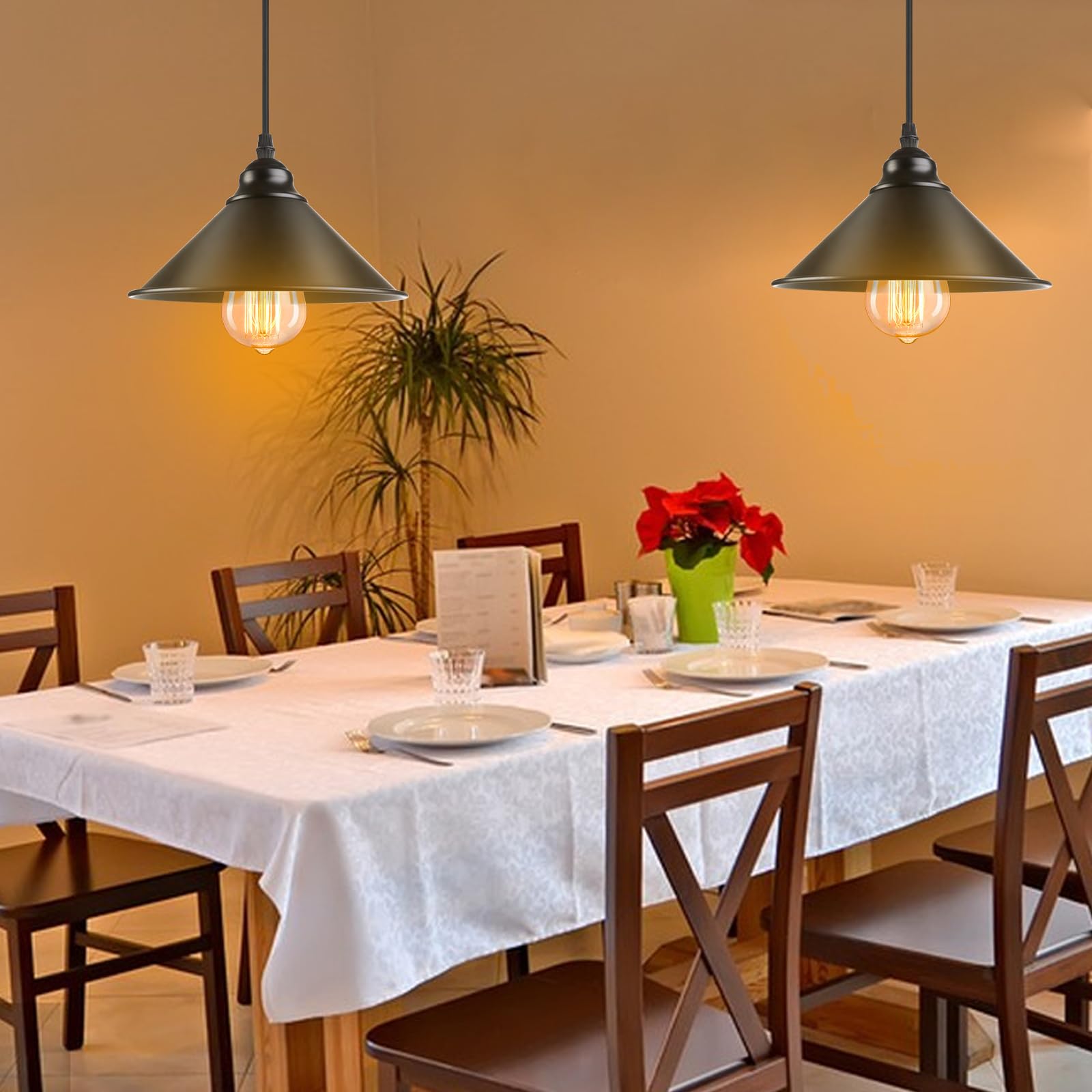 eN product｜hanger light Aokpsrt Plug in Pendant Light, Industrial Hanging Lamps