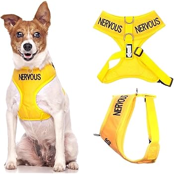 space k9 harness