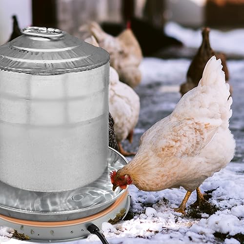 Miniatura 4 de Calentador de agua de pollo para aves de corral base de calentador de agua de pollo para invierno, para agua de aves de corral de plásticometal de