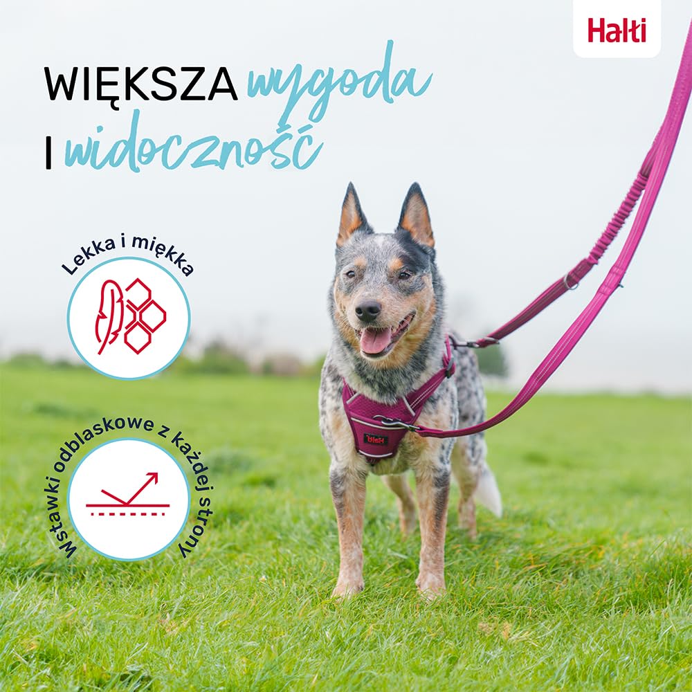Wielofunkcyjna smycz dla psa Halti Anatomia | Rozmiar L, Szary | Dwustronna smycz amortyzująca, idealna do spacerów i treningów. Wygodny uchwyt, lekka i odblaskowa. Odpowiednia dla szczeniąt