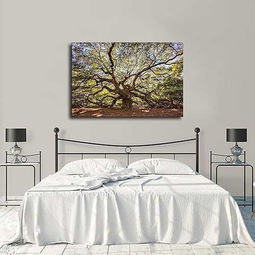 Miniatura 3 de Norhi Póster de Angel Oak Tree de Charleston de Carolina del Sur, para sala de estar, moderno, decoración de dormitorio familiar (24 x 36 pulgadas,