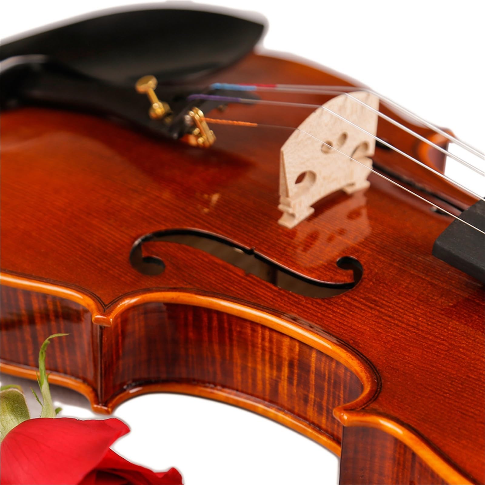 Violino Set Livello Di Prestazione 4/4 Violino Intaglio Del Pizzo Esame Professionale Violino(4/4)
