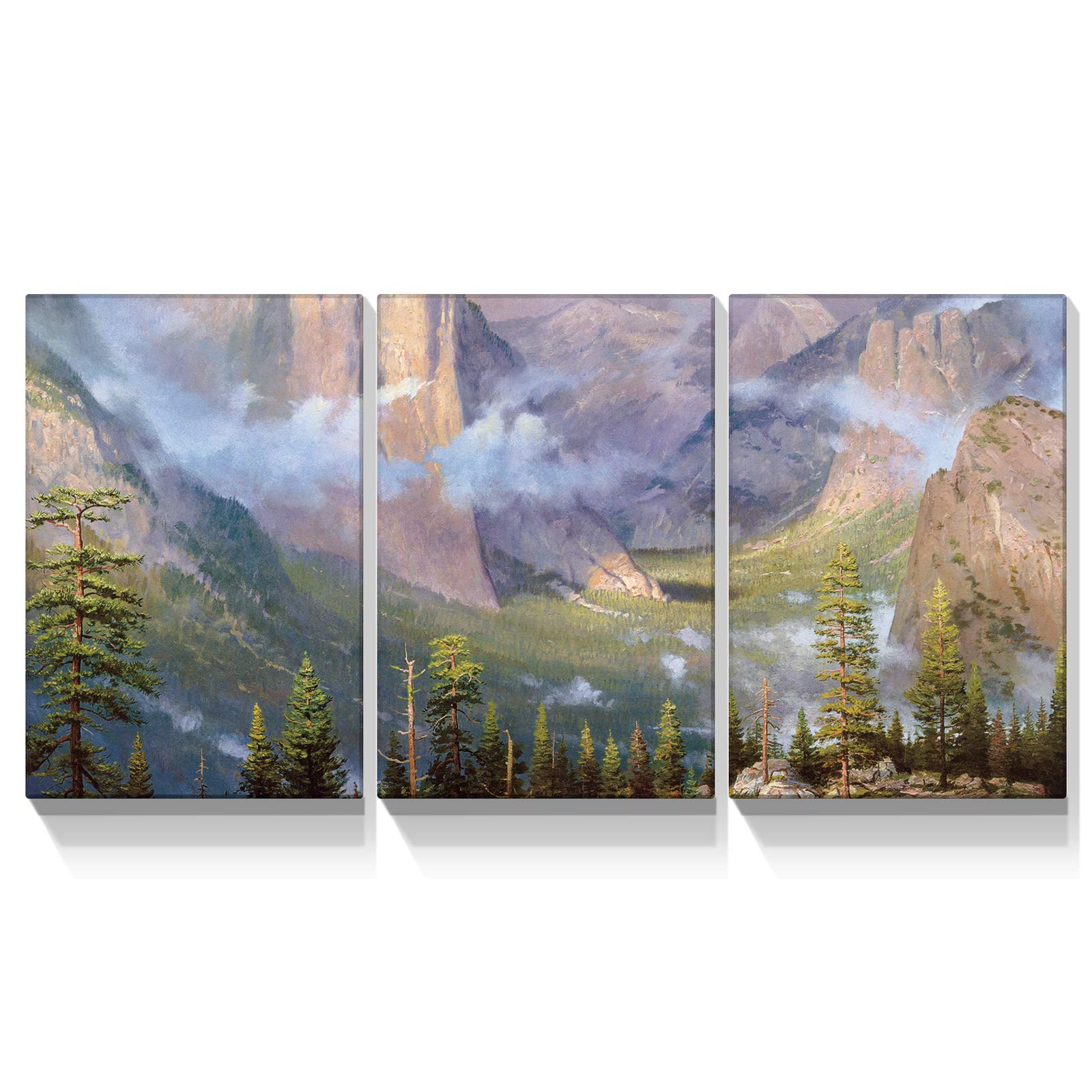 Amazon.co.jp: Looife 3パネル 自然の風景 キャンバス ウォール