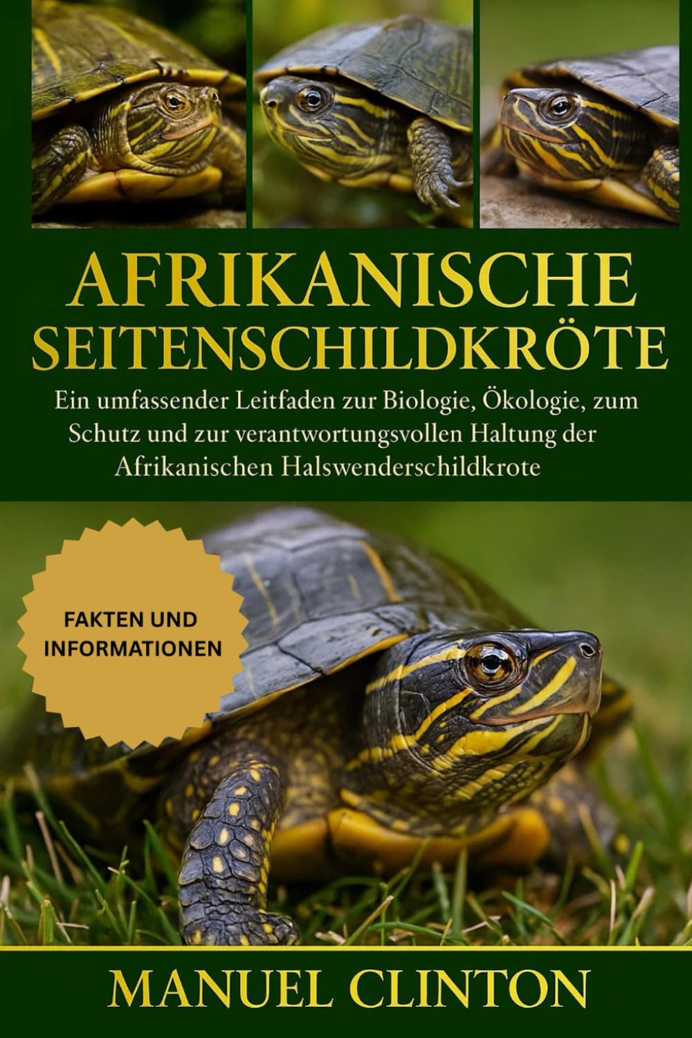Afrikanische Seitenschildkröte: Ein umfassender Leitfaden zur Biologie, Ökologie, zum Schutz und zur verantwortungsvollen Haltung der Afrikanischen Halswenderschildkröte