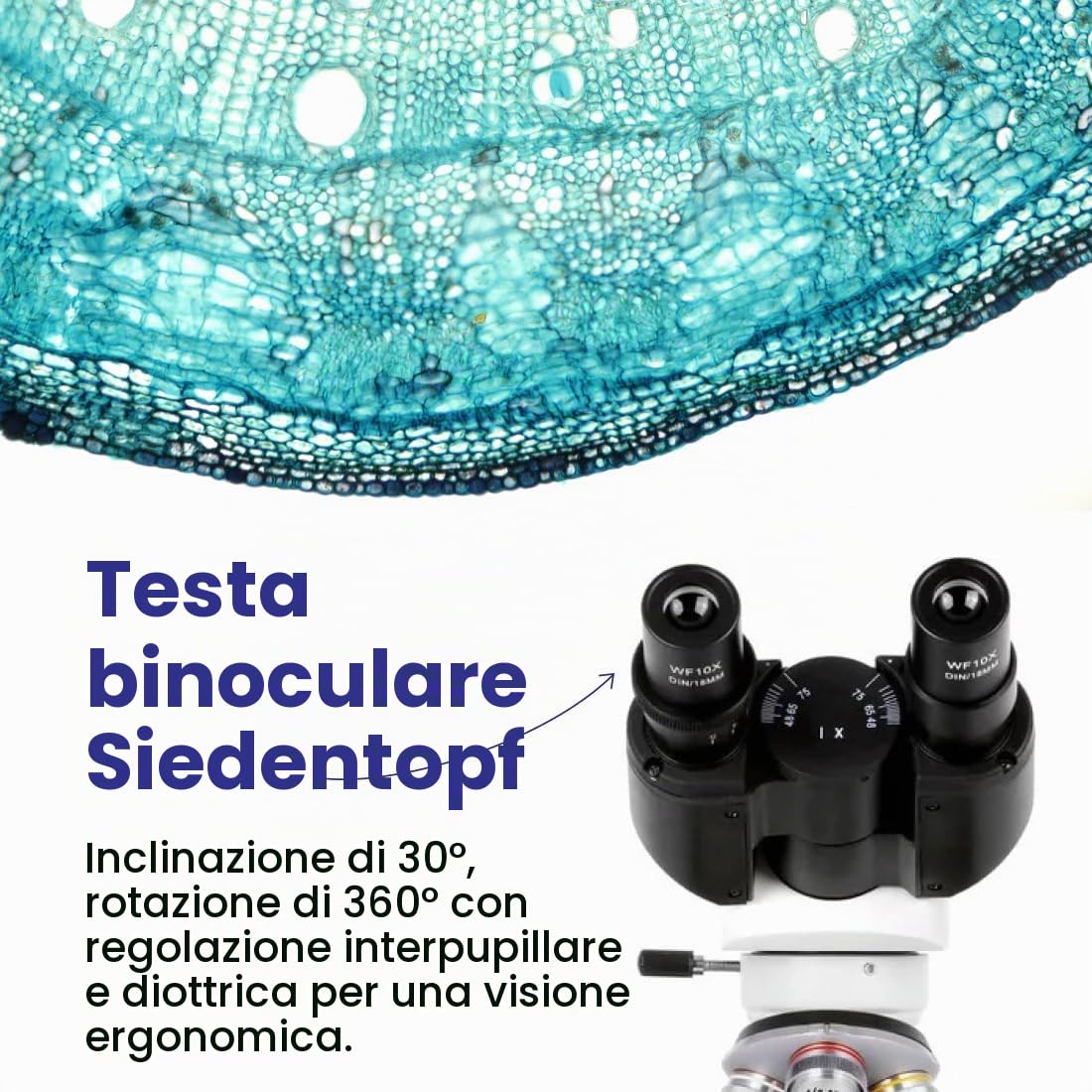 AmScope - Binocolo digitale 40x-2.500x a LED con microscopio con fase 3D + fotocamera USB 5 MP - B120C-E5