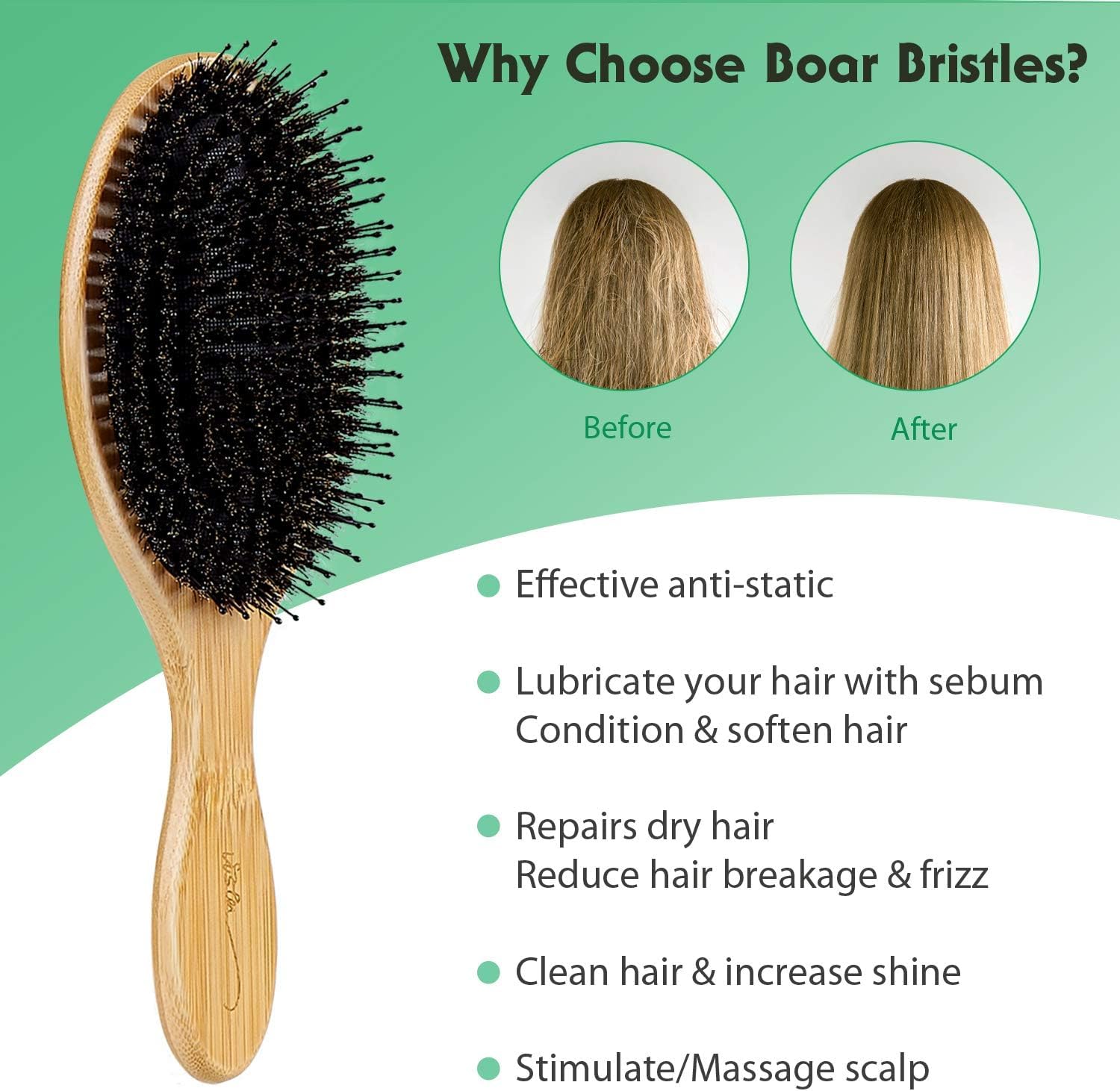 Vista Spazzola Setole Cinghiale Naturale con Manico in Bambù Spazzola per Capelli Professionale e Pettine Capelli a Coda di Metallo per Capelli di Spessore Normale o Medio