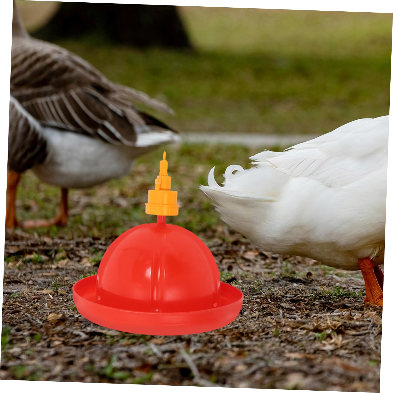 YARNOW Tazón De Agua para Pollos Comedero para Pájaros Sistema De Riego para Aves