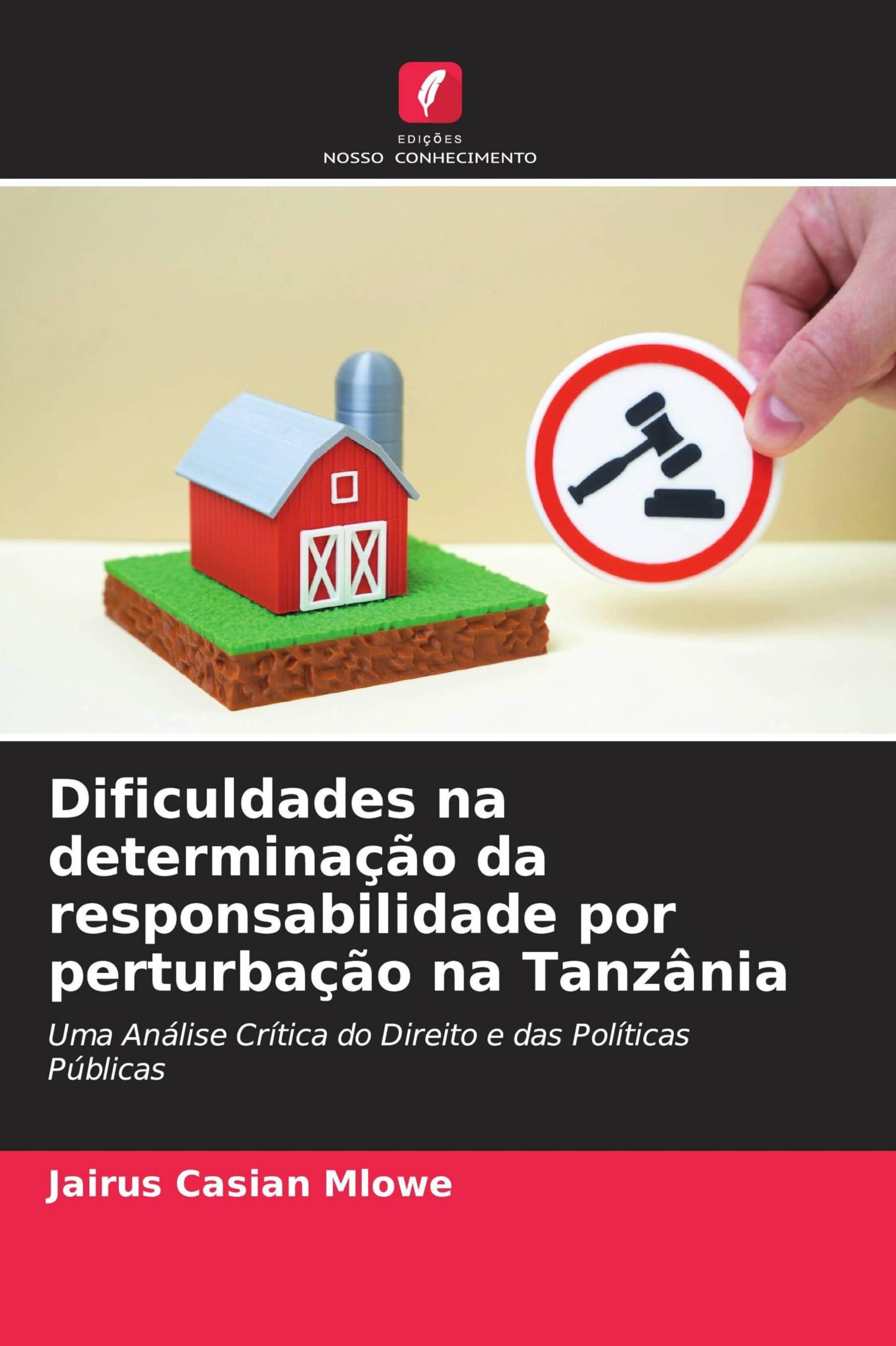 Dificuldades na determinação da responsabilidade por perturbação na Tanzânia: Uma Análise Crítica do Direito e das Políticas Públicas