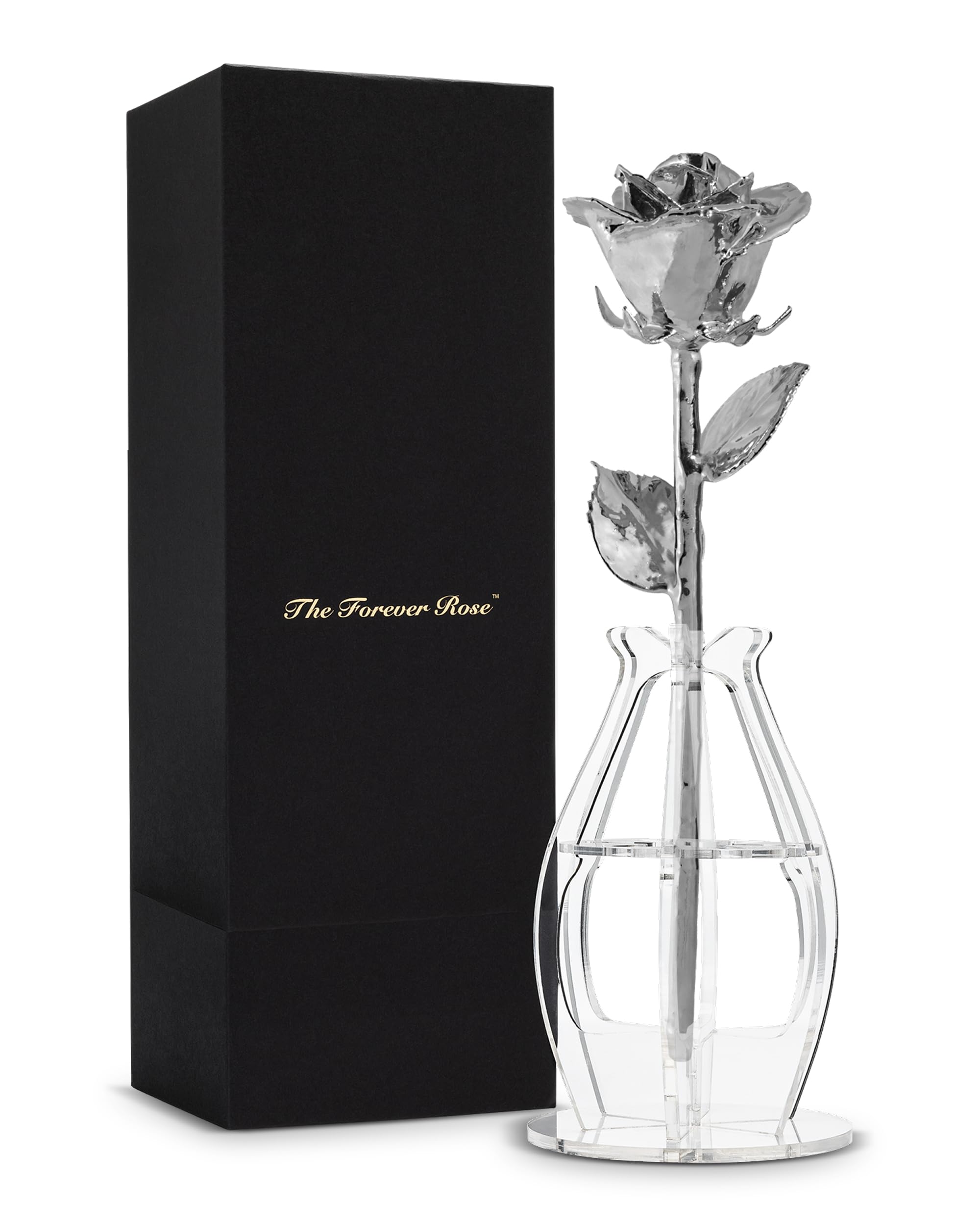 Forever Rose Real Rose Dipped in Platinum