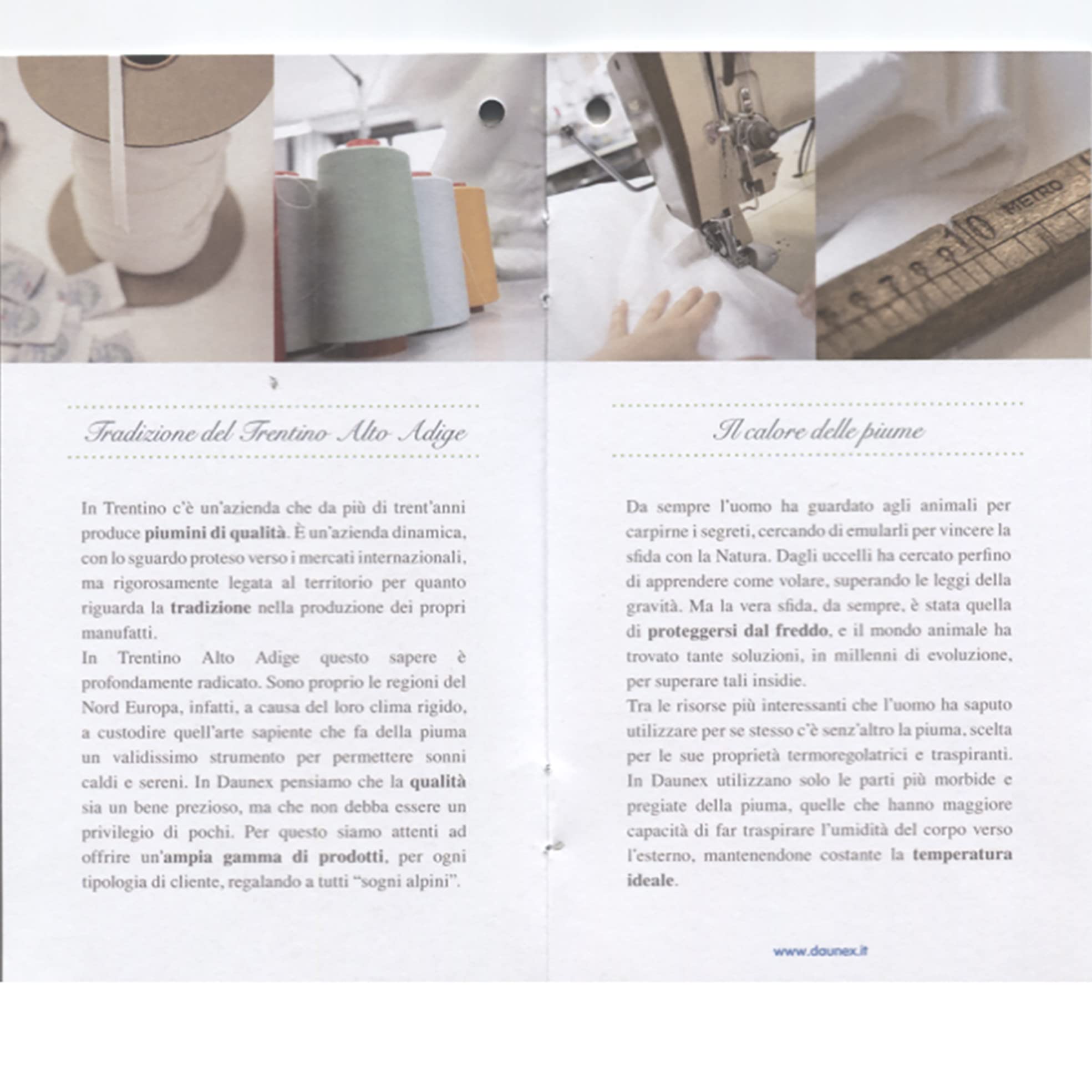 SofficePiuma - Daunex Piumino Matrimoniale Invernale in 100% Piumino D'Oca Vergine Piumone 5 PUNTI Calore EXTRA WARM Made in Italy (250x220 Matrimoniale King)